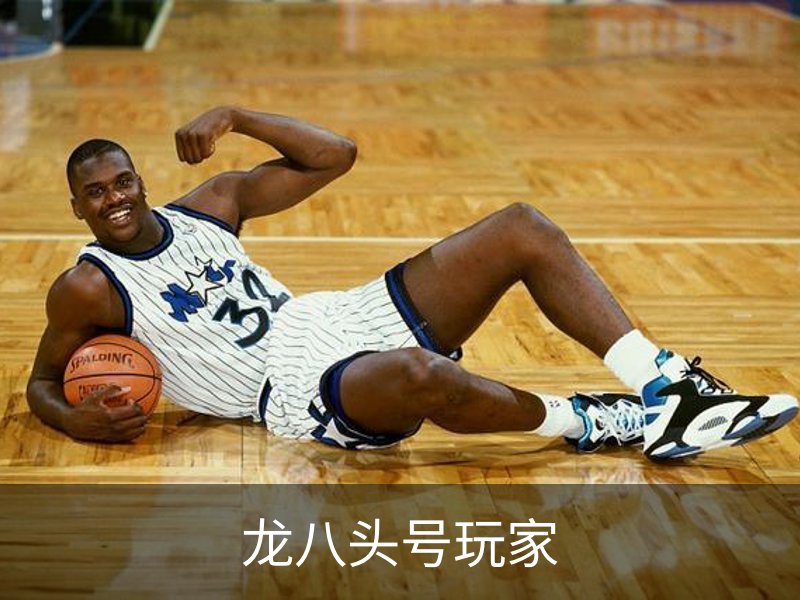 龙八头号玩家简介